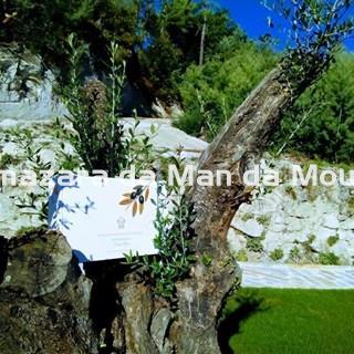 Estuche Almazara da Man da Moura - Imagen 2