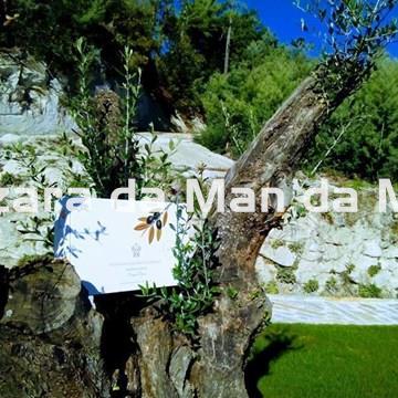 Estuche Almazara da Man da Moura - Imagen 2