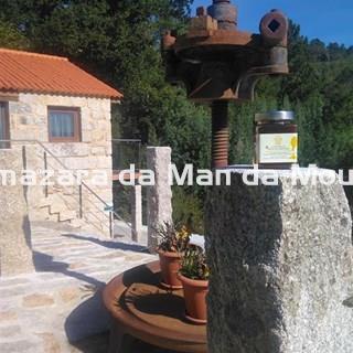 Miel de Flores Silvestres Almazara da Man da Moura - Imagen 2